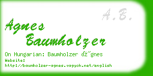 agnes baumholzer business card